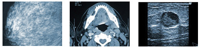 X-Ray / Ultrasound images